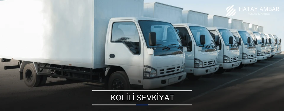 Hatay Kolili Sevkiyat Ambar Firmaları Hatay Kolili Sevkiyat Ambar Firmaları