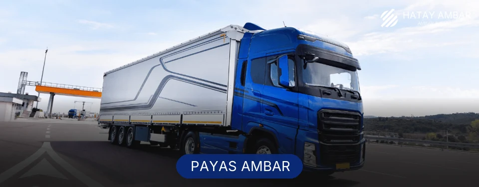 Payas Ambar