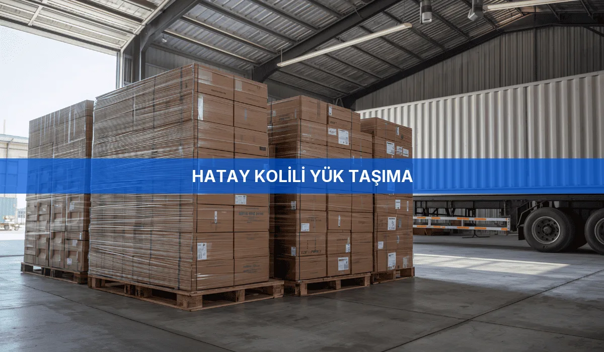 Hatay Kolili Yük Taşıma